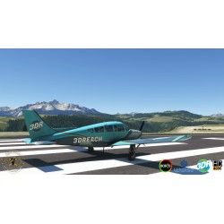 Flysimware Sierra C24R