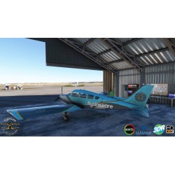 Flysimware Sierra C24R