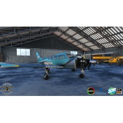 Flysimware Sierra C24R