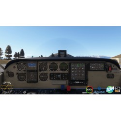 Flysimware Sierra C24R