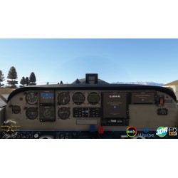 Flysimware Sierra C24R