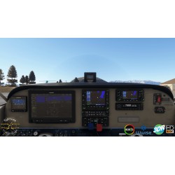 Flysimware Sierra C24R