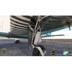 Flysimware Sierra C24R